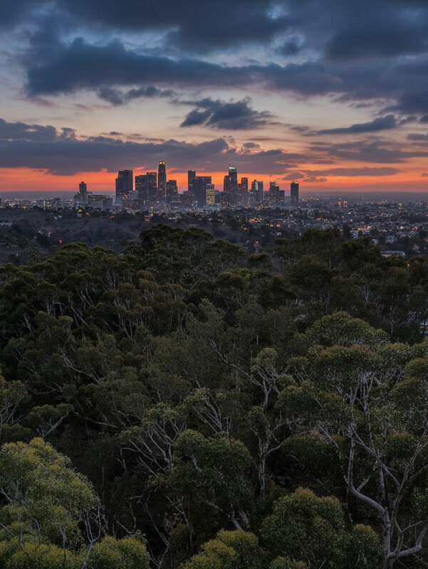 Los Angeles Twilight Photography